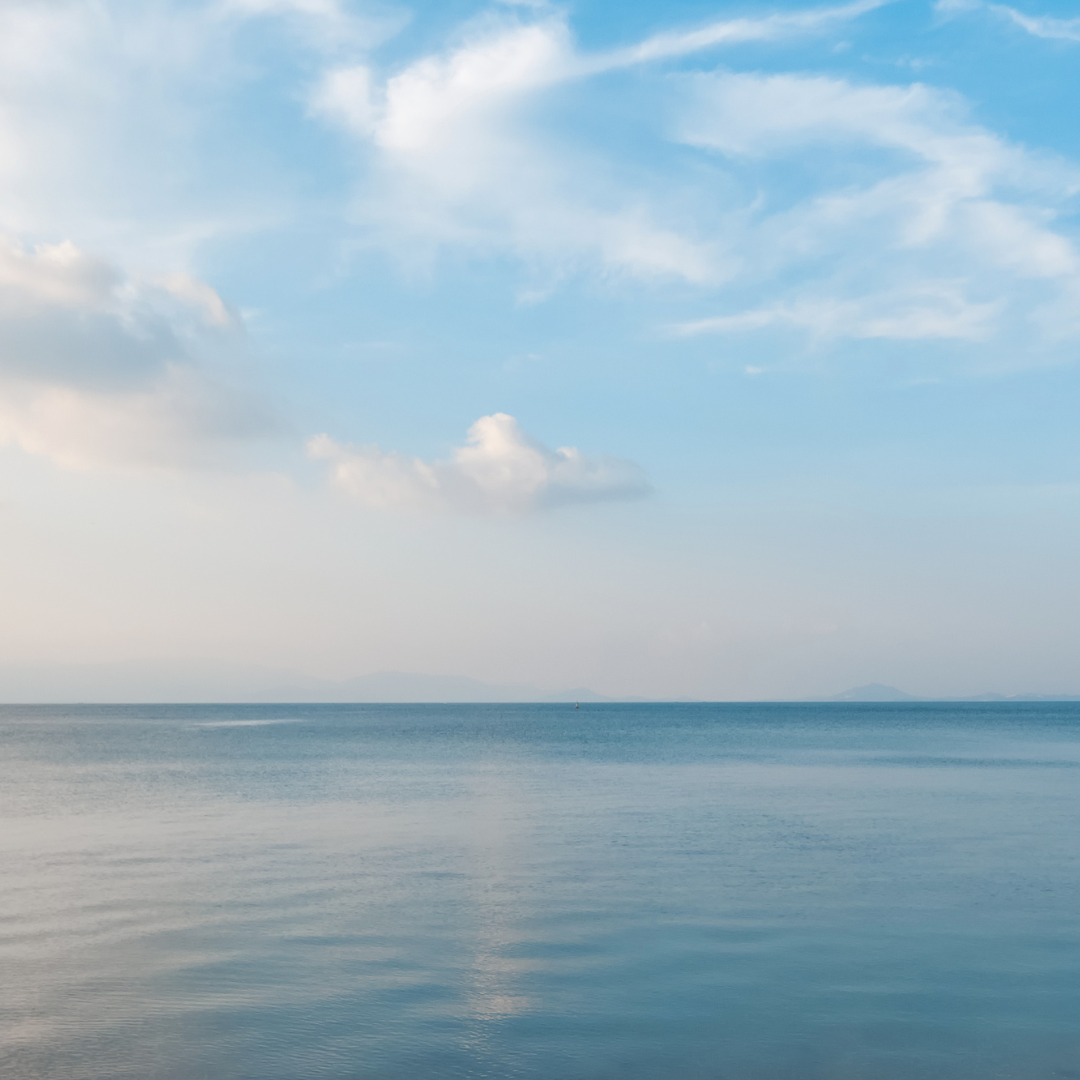 Starting Over Digital Footprint