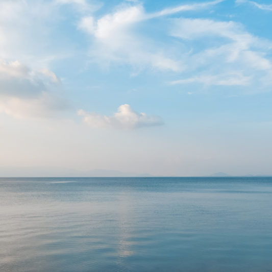 Starting Over Digital Footprint