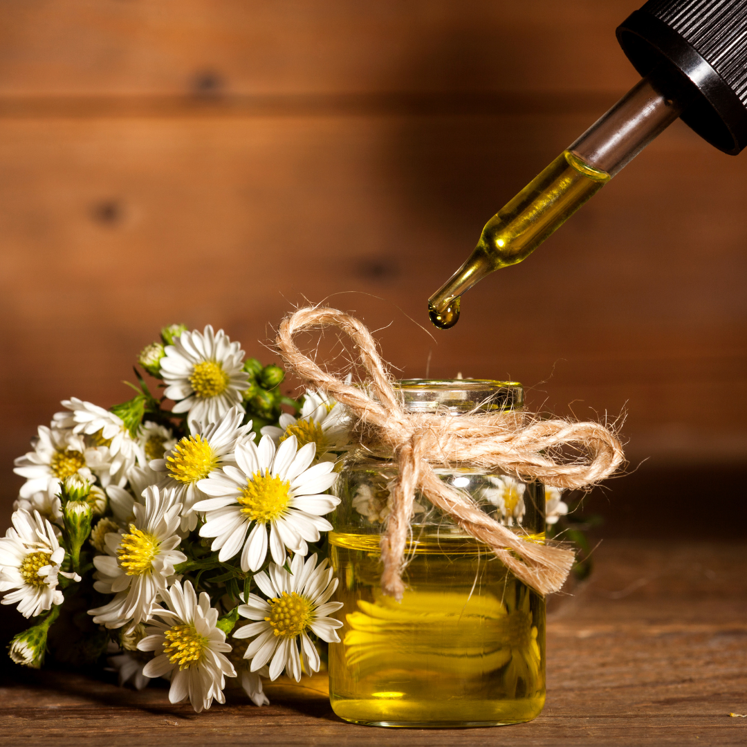 Six Essential Oil For Every Home
