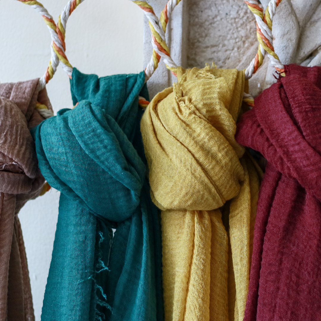 Modesty Collection