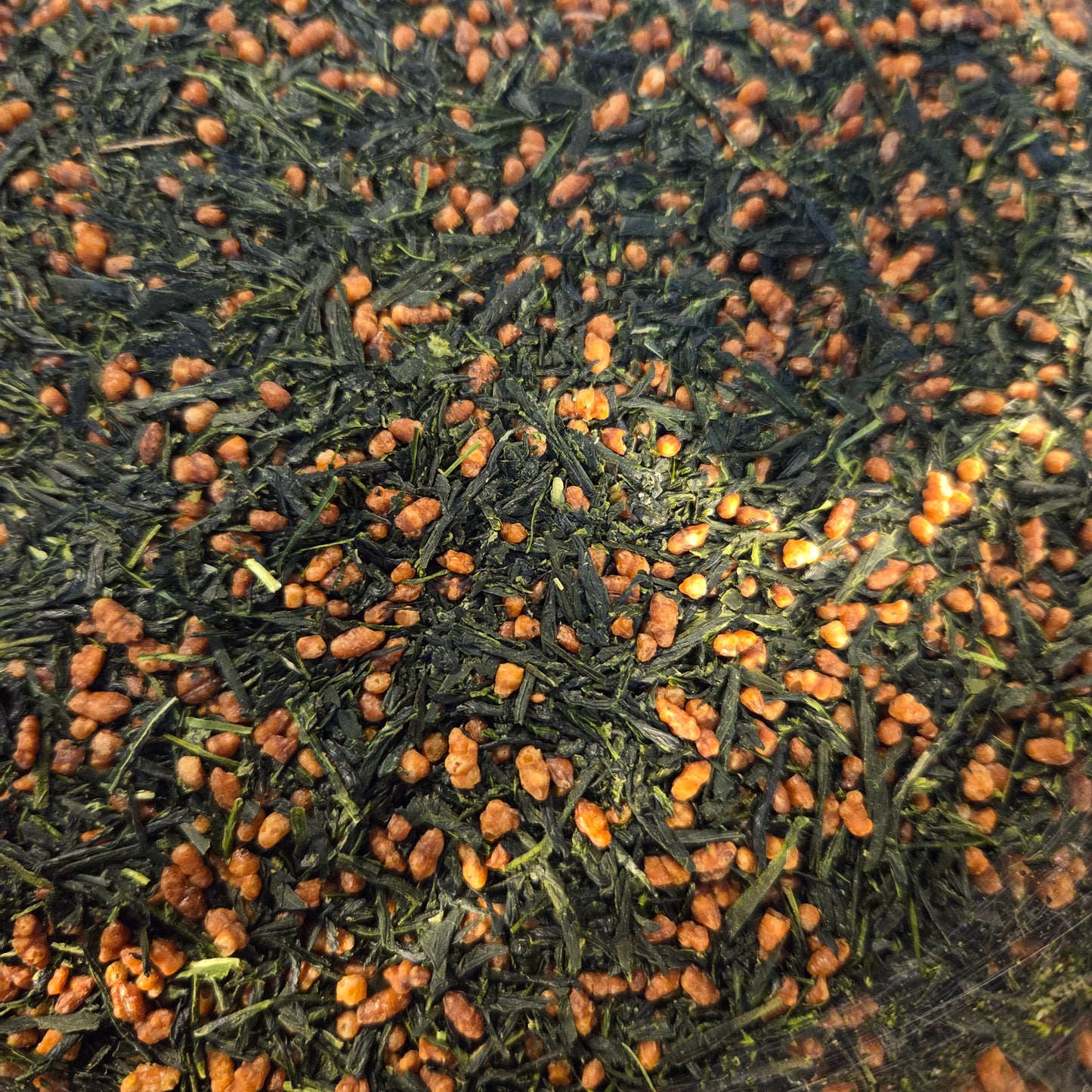 Toasty Imperial Gyokuro Genmaicha- Japan